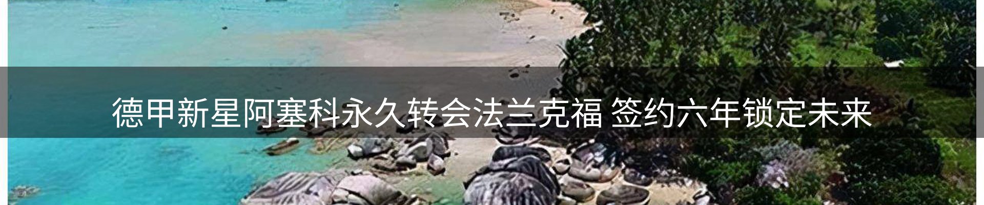 新闻资讯