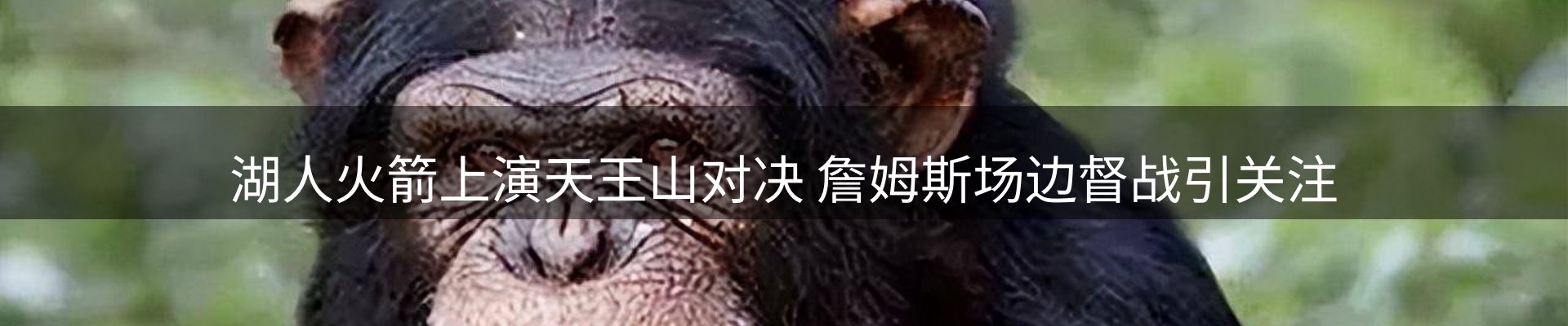 新闻资讯