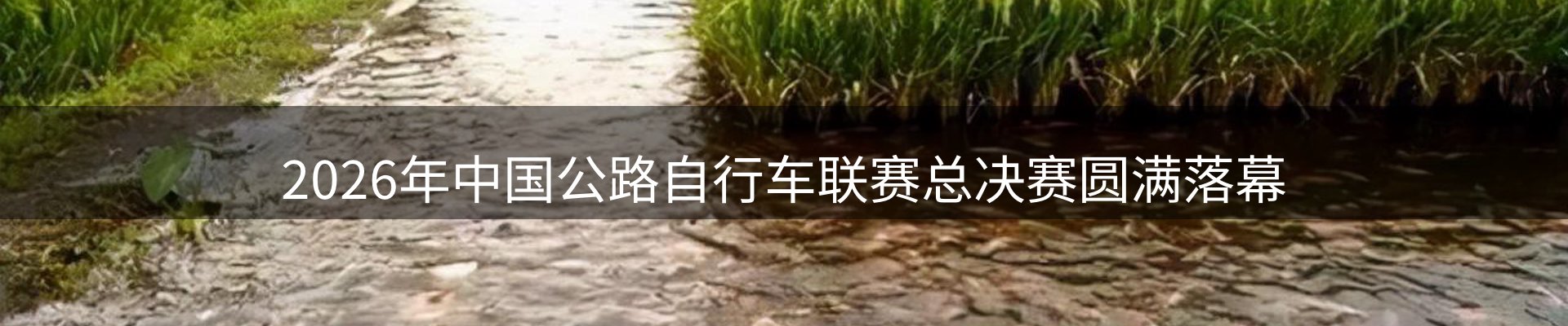 新闻资讯
